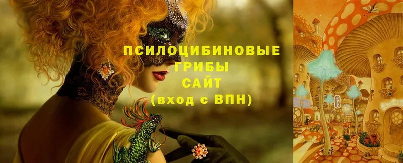 Галлюциногенные грибы Cubensis  мега ссылки  Чебоксары 